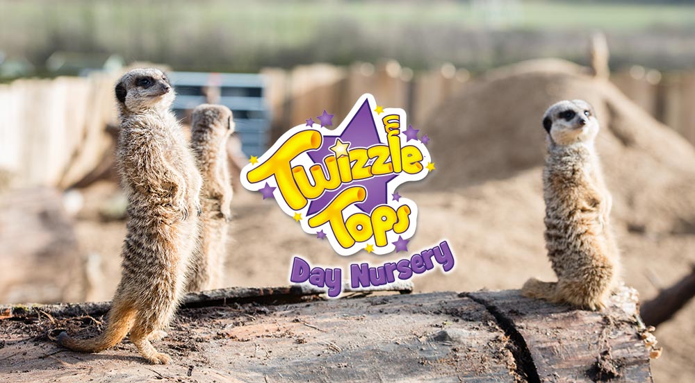 Twizzle Top logo with a Meerkat backdrop